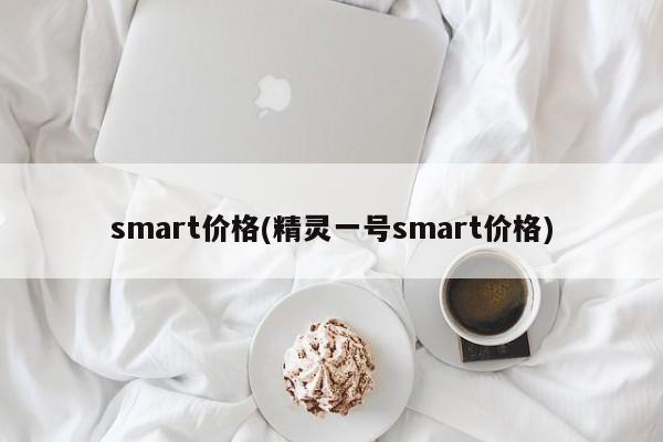smart价格(精灵一号smart价格)
