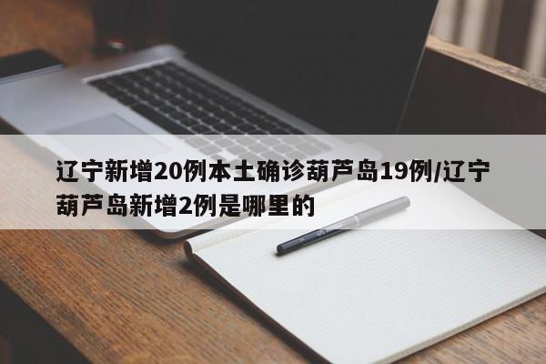 辽宁新增20例本土确诊葫芦岛19例/辽宁葫芦岛新增2例是哪里的