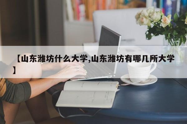 【山东潍坊什么大学,山东潍坊有哪几所大学】