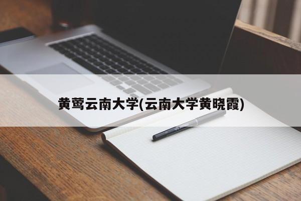 黄莺云南大学(云南大学黄晓霞)